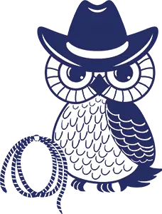 Rodeo Owl